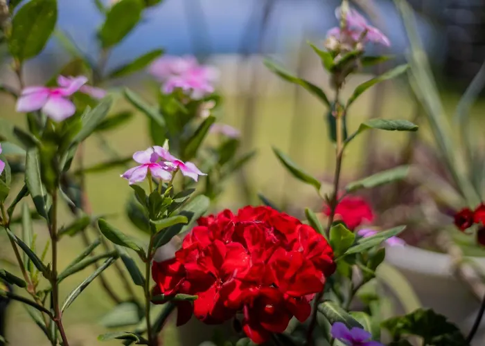 Casa Lunavia Kontokali