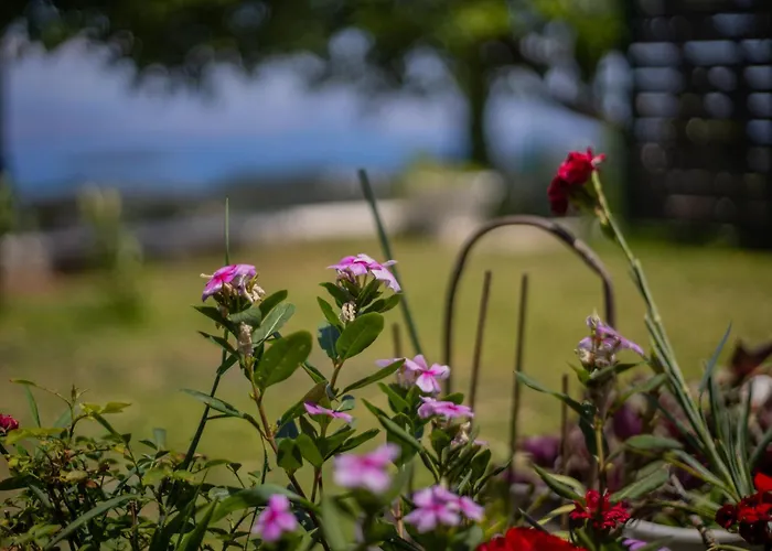 Casa Lunavia Prázdninový dům