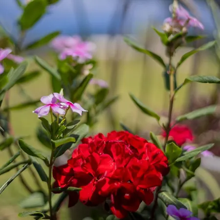 Casa Lunavia Kondókali