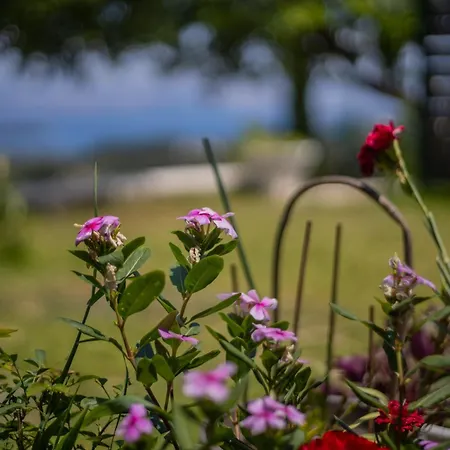 Casa Lunavia 度假居