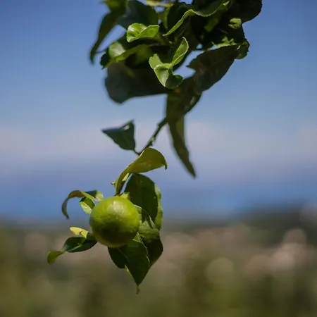 Hébergement de vacances Casa Lunavia *